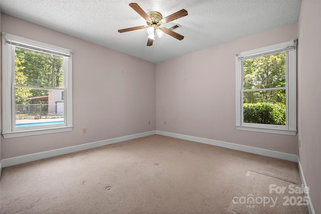 277 Wild Turkey Ln, Rutherfordton, NC 28139 - photo 28