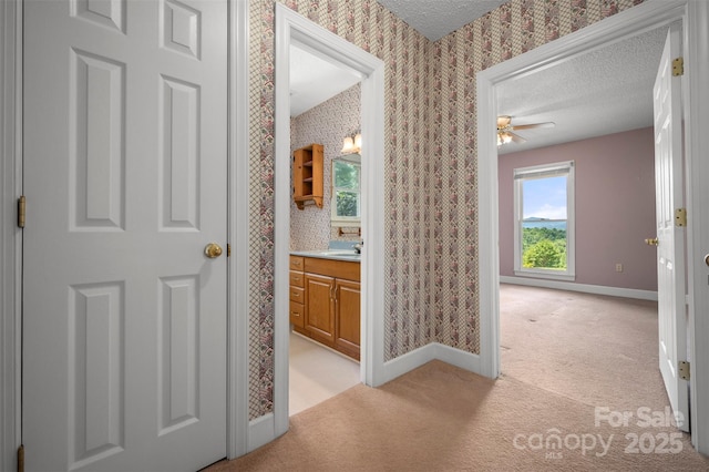 277 Wild Turkey Ln, Rutherfordton, NC 28139 - photo 30