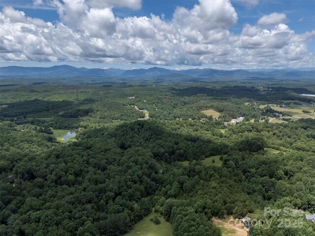 277 Wild Turkey Ln, Rutherfordton, NC 28139 - photo 47