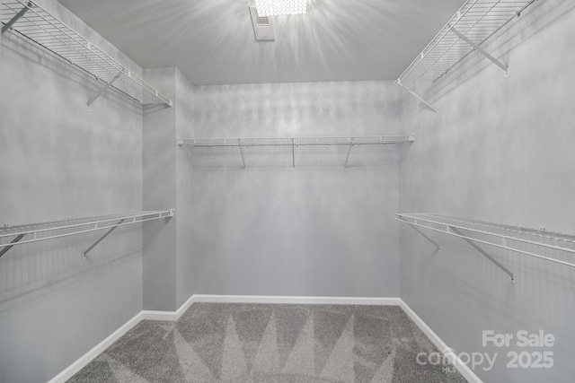 10220 Chilvary Dr, Charlotte, NC 28277 - photo 33