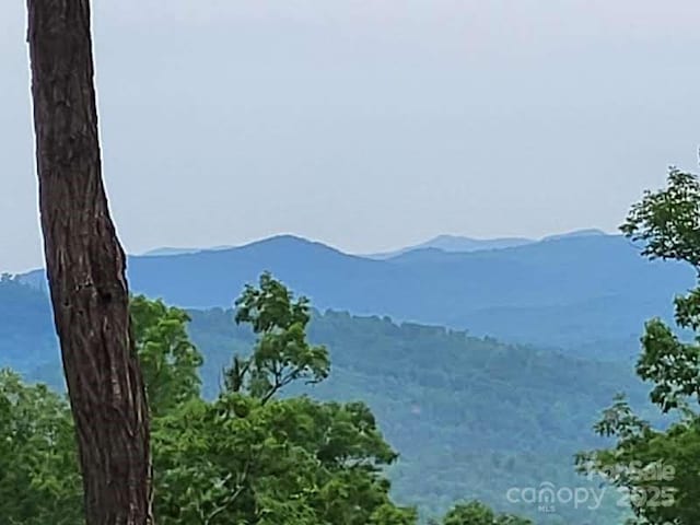 LOT45 Ridgecrest Dr, Lake Lure, NC 28746