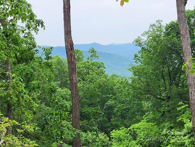 LOT45 Ridgecrest Dr, Lake Lure, NC 28746