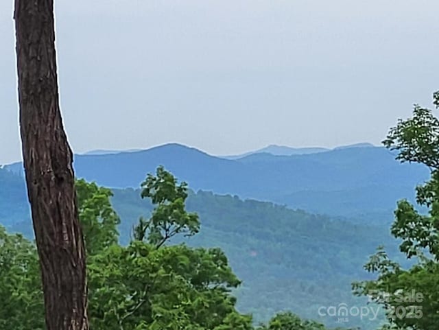 LOT45 Ridgecrest Dr, Lake Lure, NC 28746