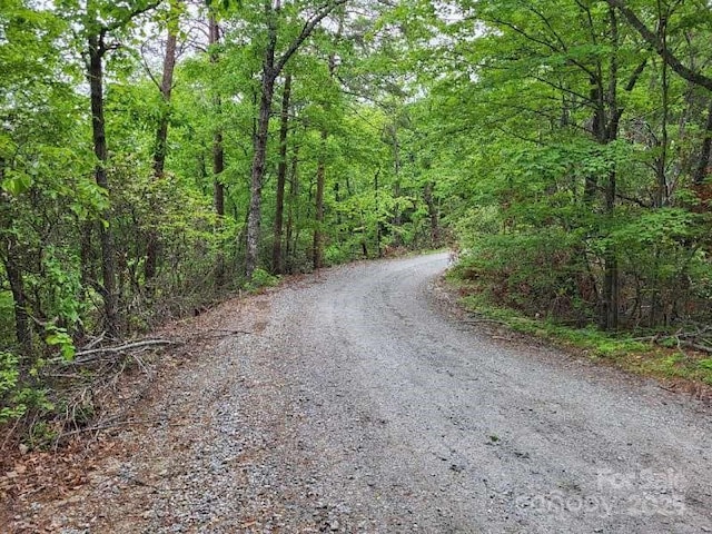 LOT45 Ridgecrest Dr, Lake Lure, NC 28746