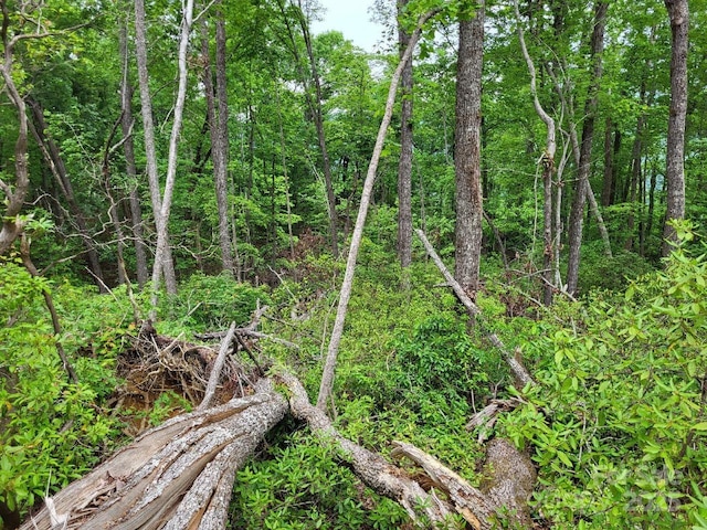 LOT45 Ridgecrest Dr, Lake Lure, NC 28746