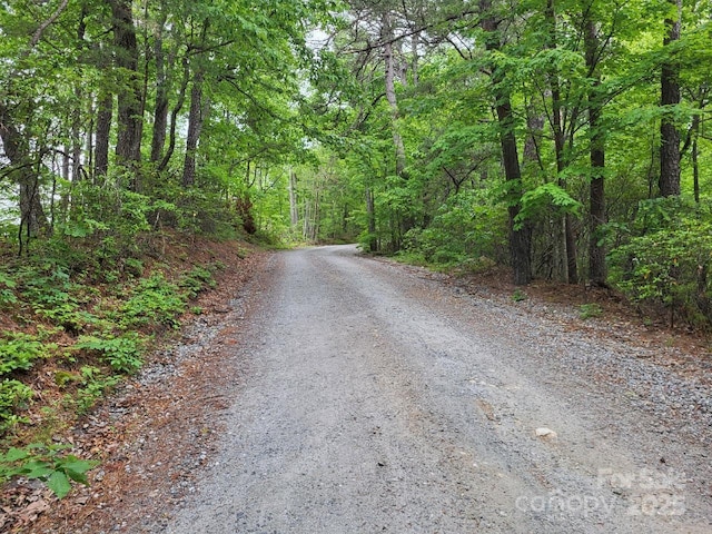 LOT45 Ridgecrest Dr, Lake Lure, NC 28746