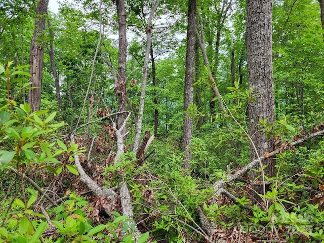LOT45 Ridgecrest Dr, Lake Lure, NC 28746