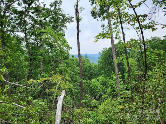 LOT45 Ridgecrest Dr, Lake Lure, NC 28746