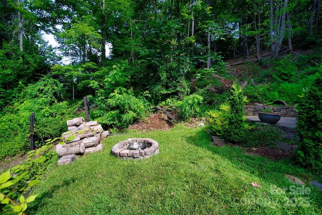 100 Ballantree Dr, Asheville, NC 28803 - photo 21
