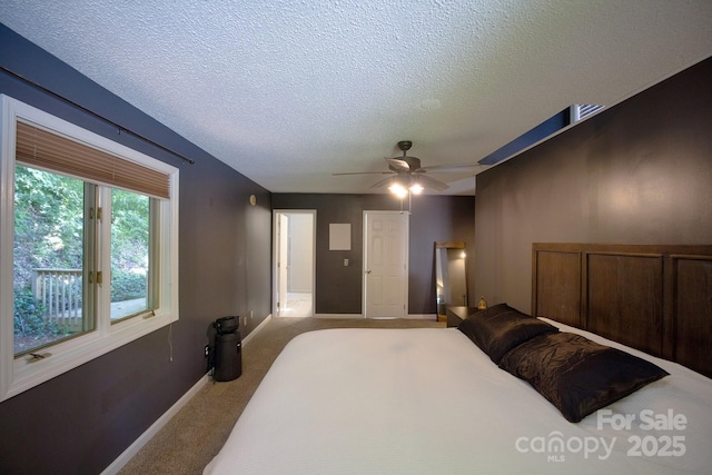100 Ballantree Dr, Asheville, NC 28803 - photo 22
