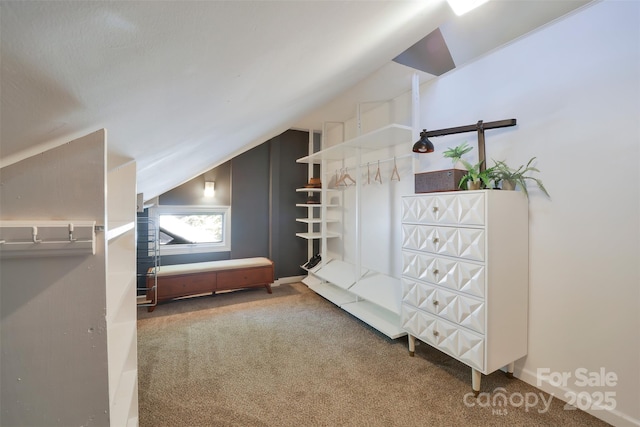 100 Ballantree Dr, Asheville, NC 28803 - photo 24