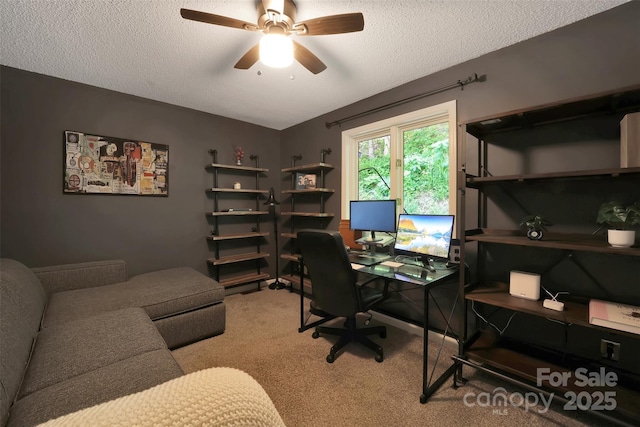 100 Ballantree Dr, Asheville, NC 28803 - photo 27