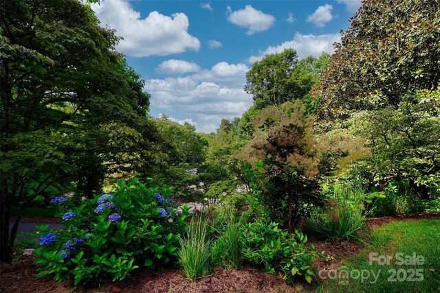 100 Ballantree Dr, Asheville, NC 28803 - photo 32