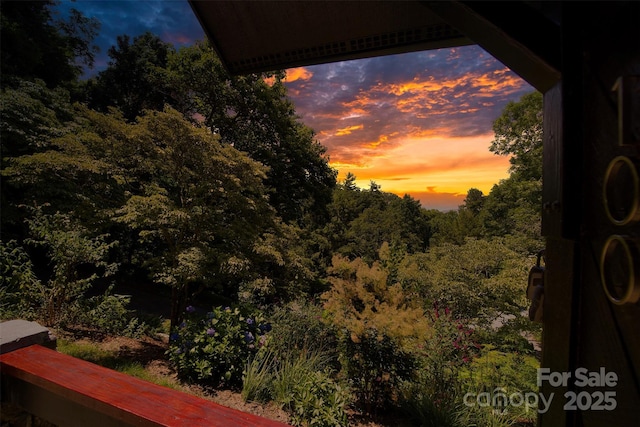 100 Ballantree Dr, Asheville, NC 28803 - photo 36