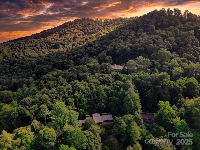 100 Ballantree Dr, Asheville, NC 28803 - photo 37