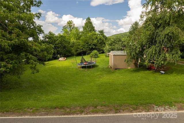 153 Beaverdam Loop Rd, Candler, NC 28715 - view of green lawn featuring a trampoline and a shed