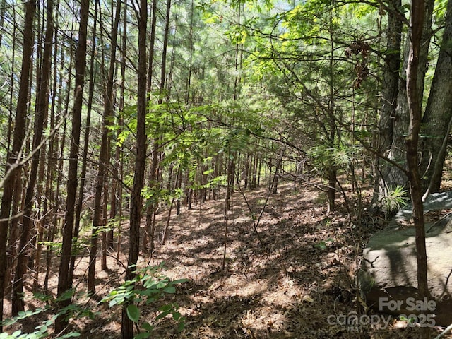 LOT159 Westridge Dr, Bostic, NC 28018