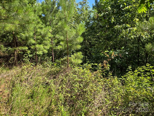 LOT159 Westridge Dr, Bostic, NC 28018
