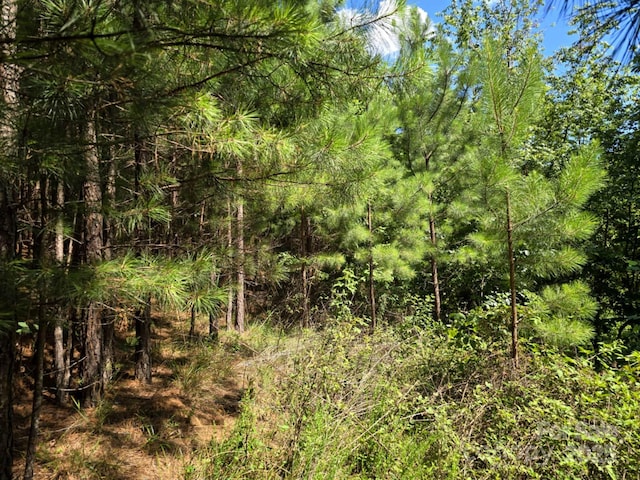 LOT159 Westridge Dr, Bostic, NC 28018