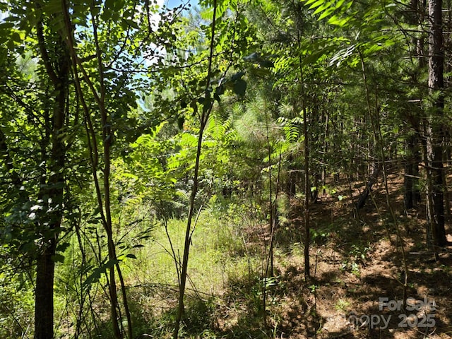 LOT159 Westridge Dr, Bostic, NC 28018
