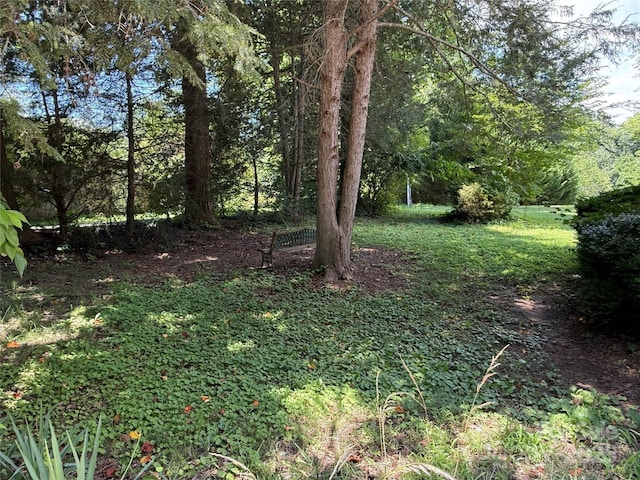 5422 River Rd, Granite Falls, NC 28630 - view of yard