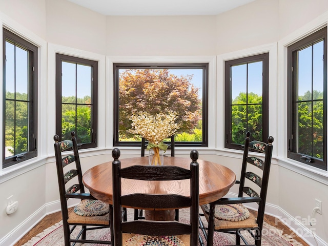 724 Moore Rd, Tryon, NC 28782 - dining space featuring plenty of natural light and light wood-type flooring