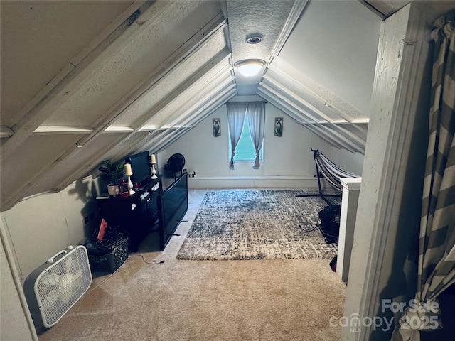 407 W Finger St, Maiden, NC 28650 - additional living space featuring carpet and lofted ceiling