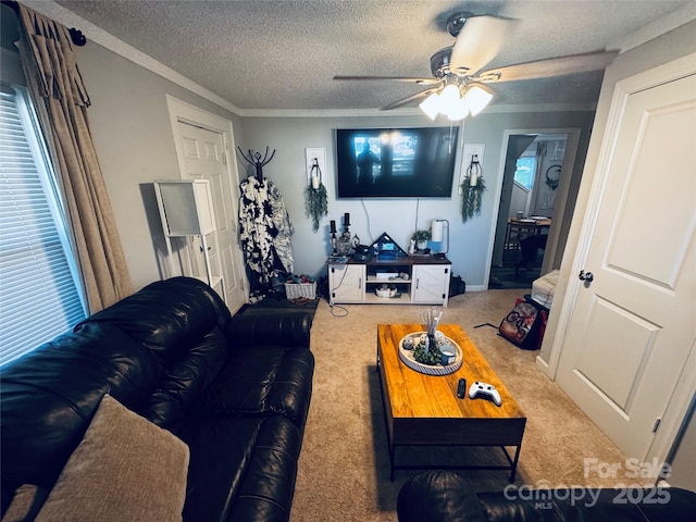 407 W Finger St, Maiden, NC 28650 - carpeted living area with ceiling fan, ornamental molding, and a textured ceiling