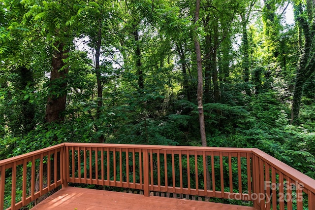 13 Castle Street A And B, Asheville, NC 28803 - photo 5