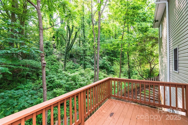 13 Castle Street A And B, Asheville, NC 28803 - photo 6