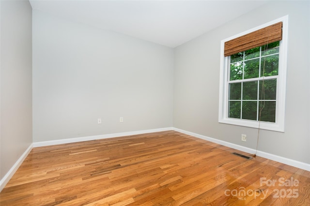 13 Castle Street A And B, Asheville, NC 28803 - photo 23
