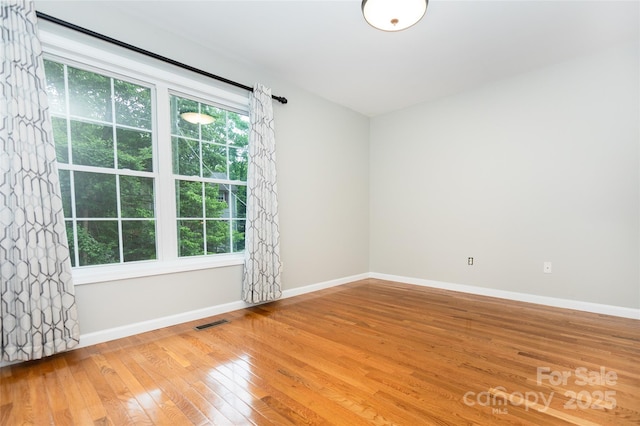 13 Castle Street A And B, Asheville, NC 28803 - photo 25