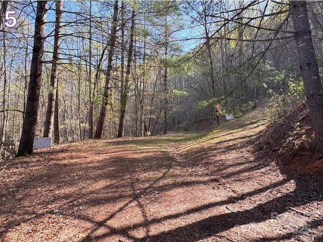 00 Crestline Dr, Franklin, NC 28734