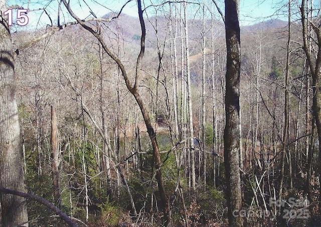 00 Crestline Dr, Franklin, NC 28734