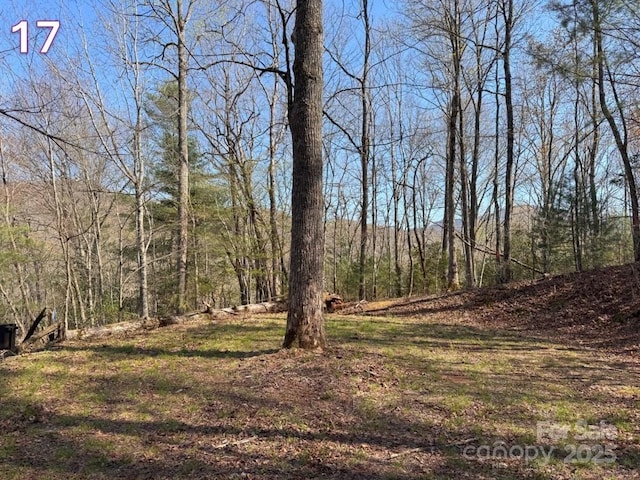 00 Crestline Dr, Franklin, NC 28734