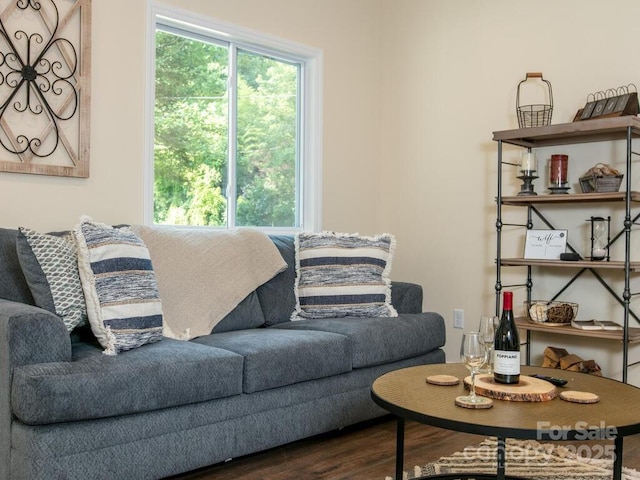 508 S Oconeechee Ave Unit 1, Black Mountain, NC 28711 - living room with dark wood-type flooring