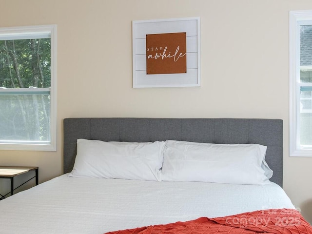 508 S Oconeechee Ave Unit 1, Black Mountain, NC 28711 - view of bedroom