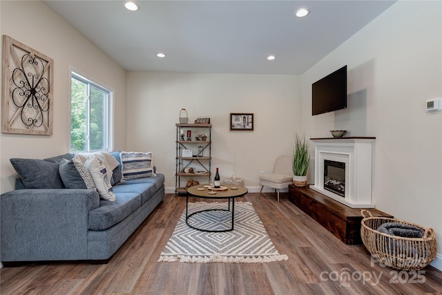 508 S Oconeechee Ave Unit 1, Black Mountain, NC 28711 - living room featuring recessed lighting, wood finished floors, and a glass covered fireplace