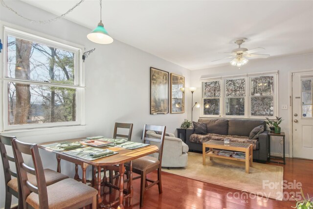224 Beverly Rd, Asheville, NC 28805 - photo 6