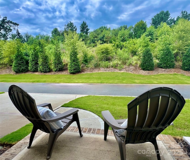 11023 Kilkenny Dr, Charlotte, NC 28277 - photo 36