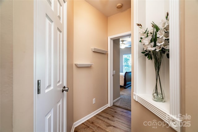 15029 Santa Lucia Dr, Charlotte, NC 28277 - photo 13