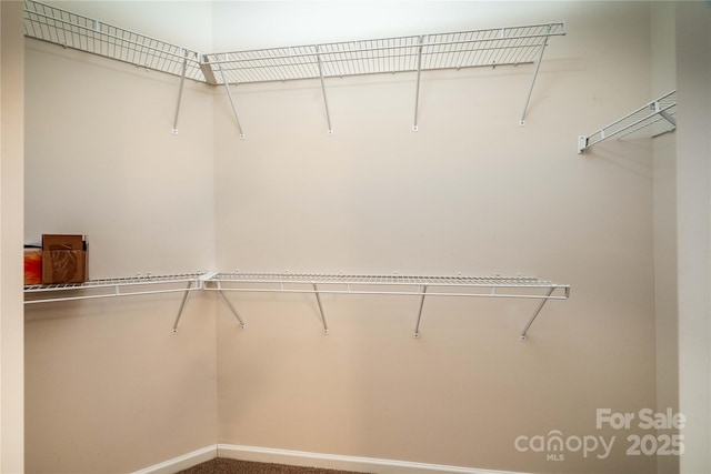 15029 Santa Lucia Dr, Charlotte, NC 28277 - photo 14