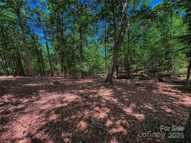 1560 Rocky Cove Ln, Denton, NC 27239 - photo 1