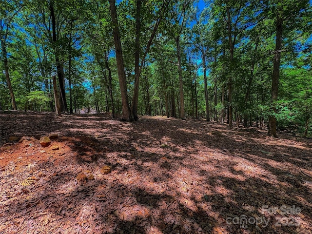 1560 Rocky Cove Ln, Denton, NC 27239 - photo 2