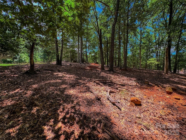 1560 Rocky Cove Ln, Denton, NC 27239 - photo 3