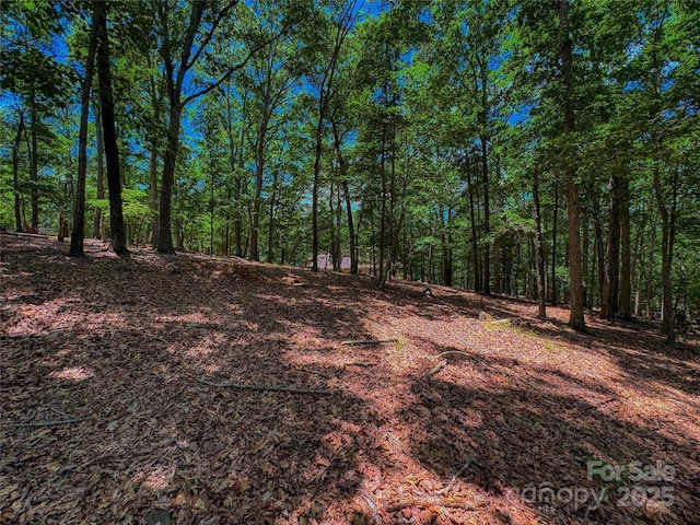 1560 Rocky Cove Ln, Denton, NC 27239 - photo 4