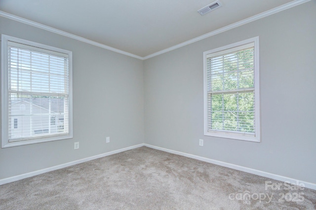 1075 Triece Ln, Charlotte, NC 28215 - empty room with ornamental molding and carpet floors