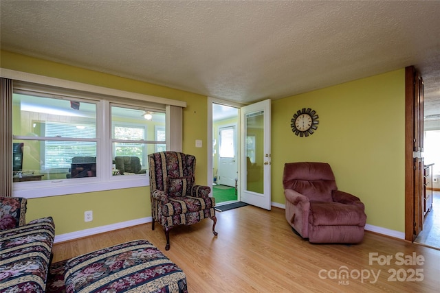 4720 Brevard Rd, Horse Shoe, NC 28742 - living area with wood finished floors and a textured ceiling