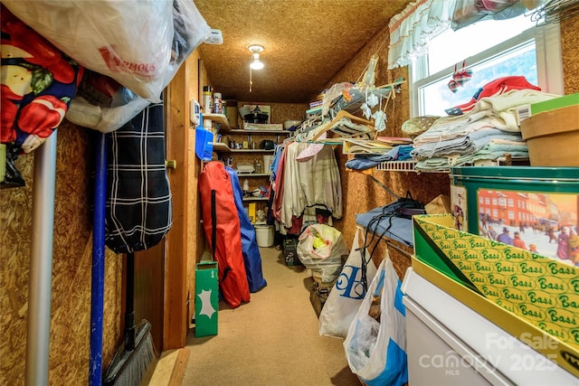 4720 Brevard Rd, Horse Shoe, NC 28742 - view of storage area