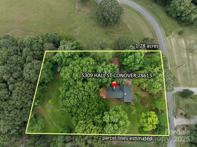 5309 Hall St, Conover, NC 28613 - photo 47